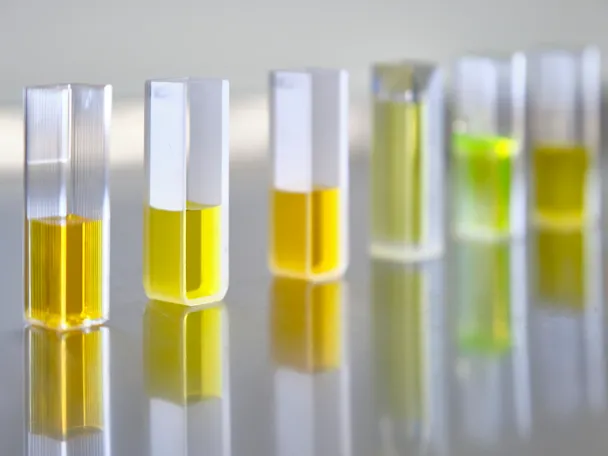 Forschung und Entwicklung