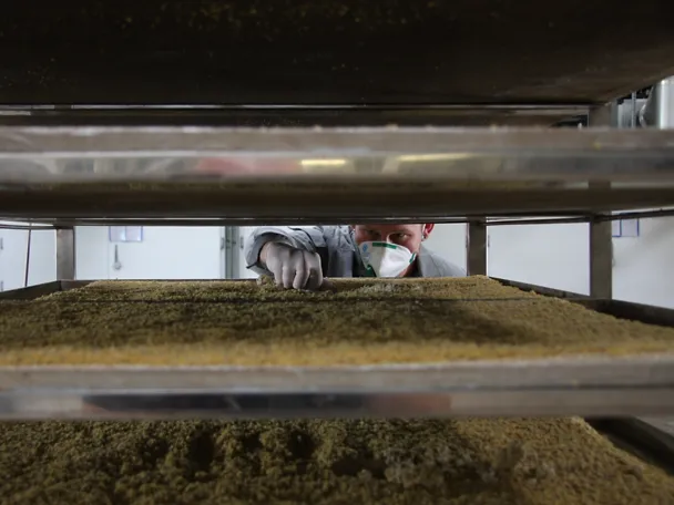 Produktion Blech High